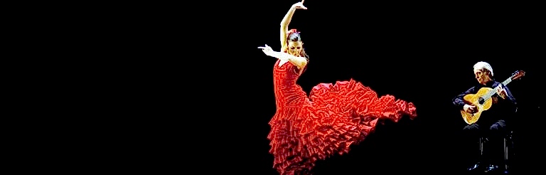 flamenko-ban1